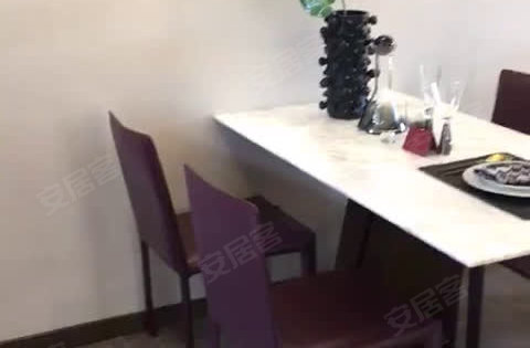 视频描述