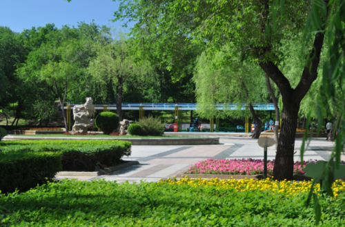 道里观江学校公园地铁这个价格太划算