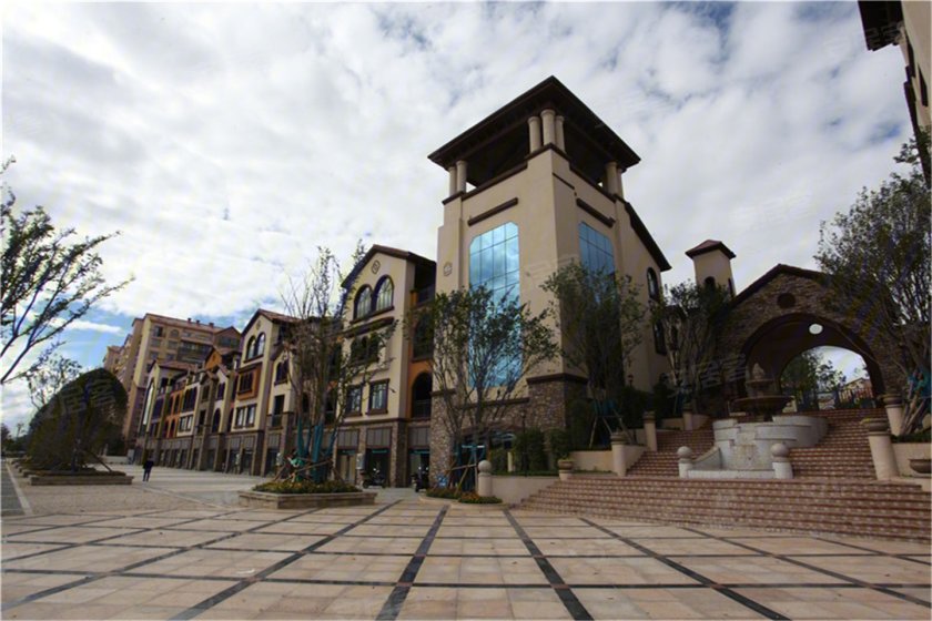 北部新洲莱茵别墅赏析