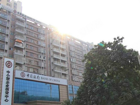 星河名苑,深圳星河名苑房价,楼盘户型,周边配套