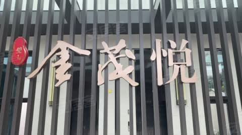 金茂悦阔气大门,全方位的人脸识别,安全的居家生活