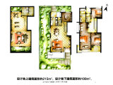 浦江华侨城8期楼层平面图