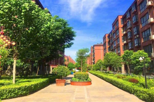 帝景蓝湾典藏优雅出入繁华