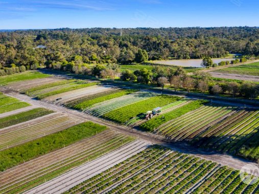 17英亩的肥沃农场,适合园艺业
