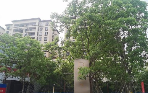 中梁海成南山云璟动态:云璟小区旁边的学校-重庆安居客