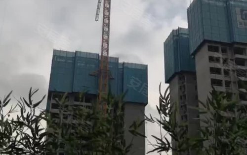 视频描述
