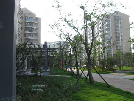 奥体新城丹枫园,南京奥体新城丹枫园房价,楼盘