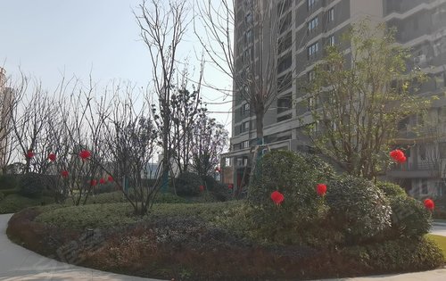 地建嘉信·臻华府动态:这样的园林绿化,你喜欢吗?-汉中安居客