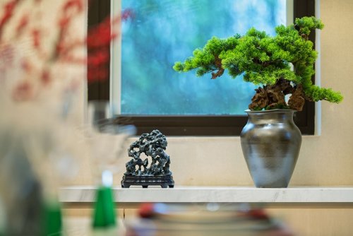 一座院落，一席天地，藏得下100种生活方式...