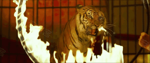 皇家大马戏全国巡回演出重磅登陆许昌 –许昌 楼市动态 – 安居客