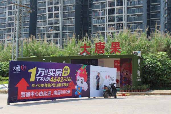 南宁龙岗大唐果怎么样,龙岗大唐果业主论坛,龙岗大唐果评论,用户点评