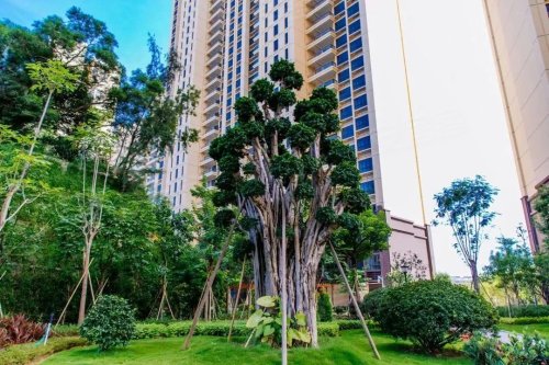 天悦湾——首期5万起,首付2成起 –汕头 楼市动态 – 安居客