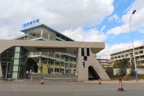 绘制巫家坝城市新封面 走进中国铁建西派国樾