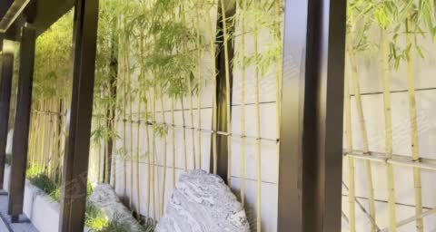 新天汉·汉中院子动态:院落景观Solo-汉中安居客