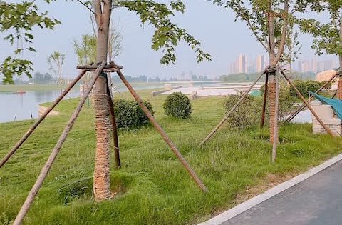 开封富力湾动态:富力湾,开封的北龙湖-开封安居客