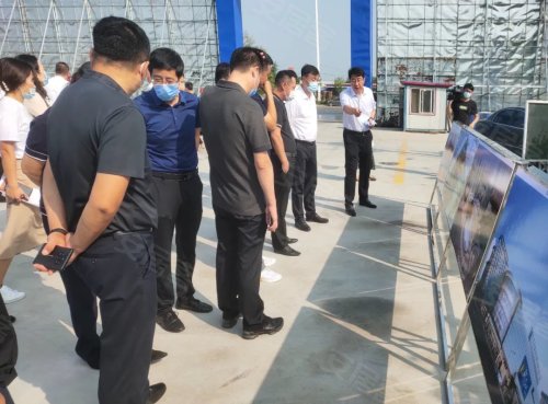市领导莅临林昌项目开展实地调研并指导-营口58同城