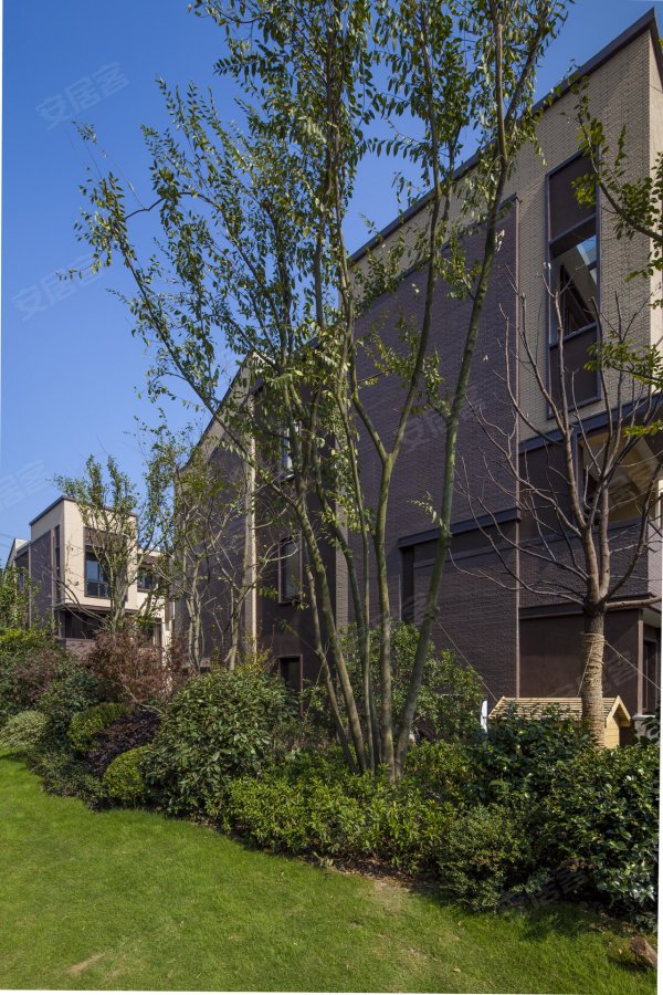 佘山珑原花海间