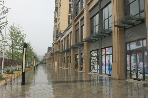 万科金域中央商业街图片