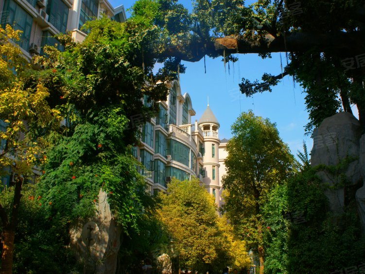 什么叫大爱之心 840x563.jpg