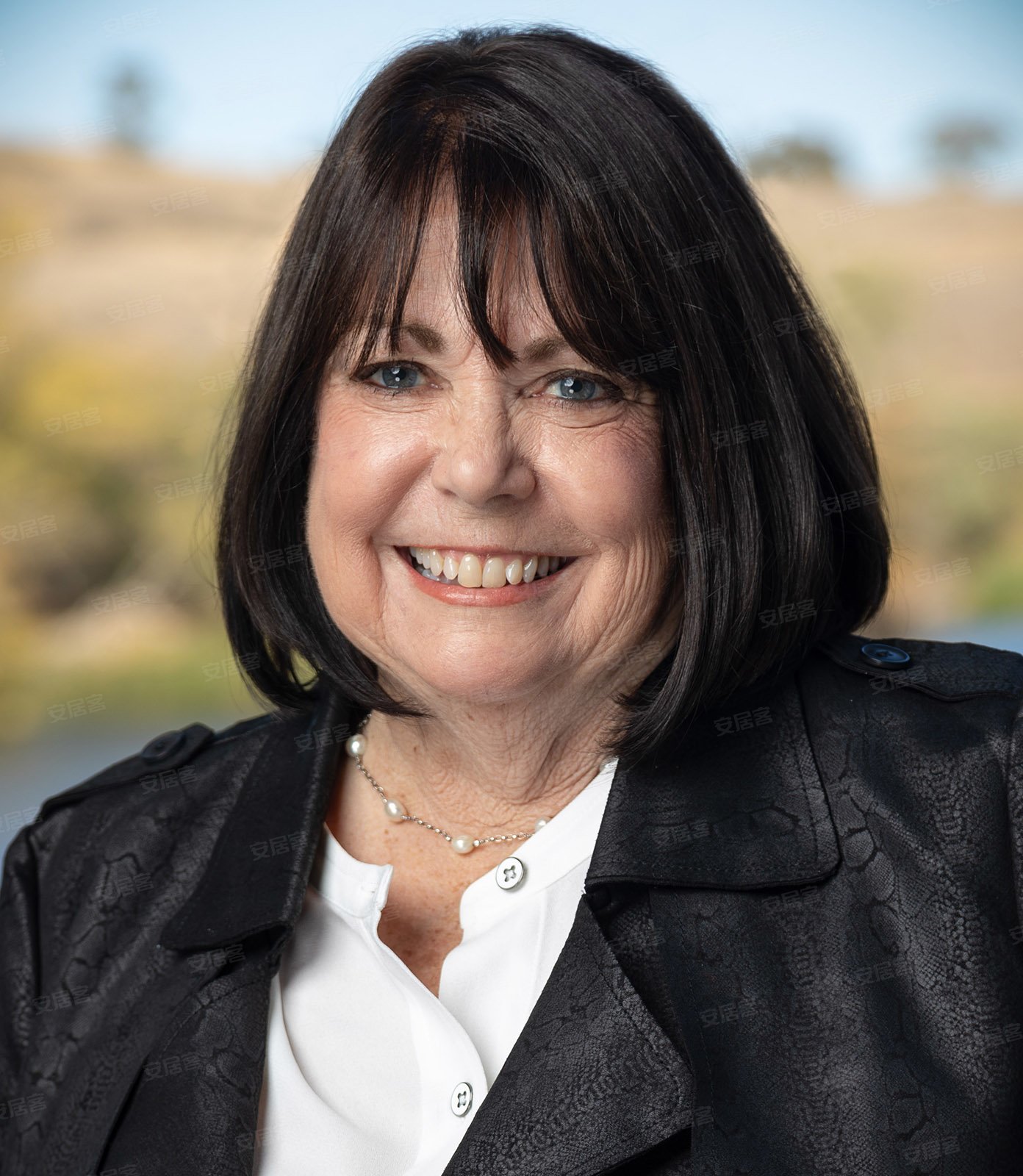 代理公司:corcoran icon properties海外置业代表:terry wunderlich