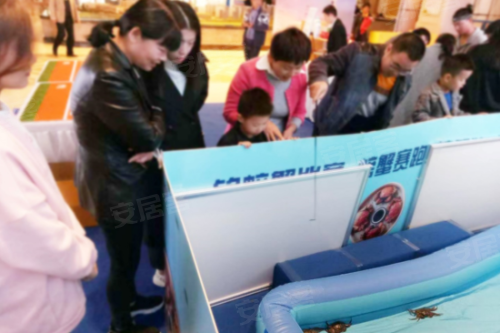 螃蟹喜乐会掀热潮 众多来宾大显身手嗨玩周末
