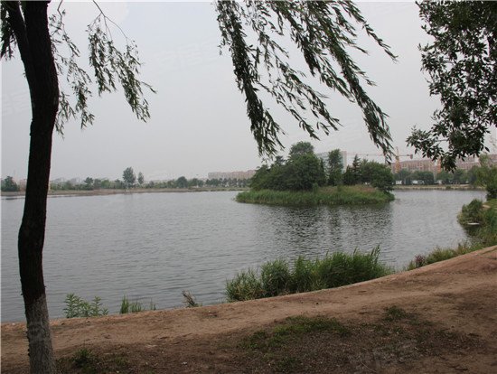 刚需优质户型供您选择 坐拥城阳棘洪滩湖居美宅