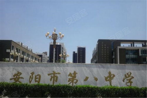 安阳市第八中学南校区图片