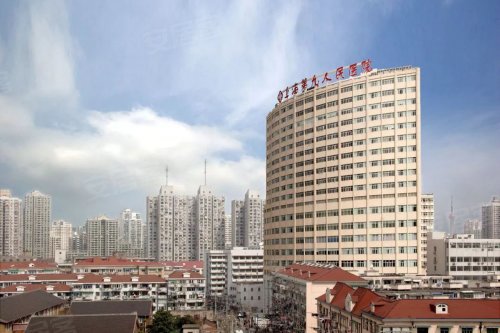 复地雅园公馆——都心红盘,瞰景奢宅,地段无可复制!