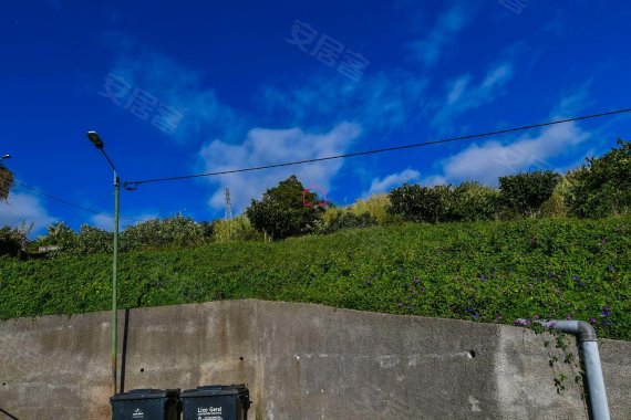 portugalfunchalland出售