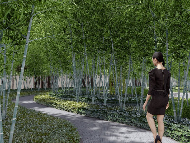 翠玲珑,"秋色入林红黯淡,日光穿竹翠玲珑",走在竹林之间的小径,风声