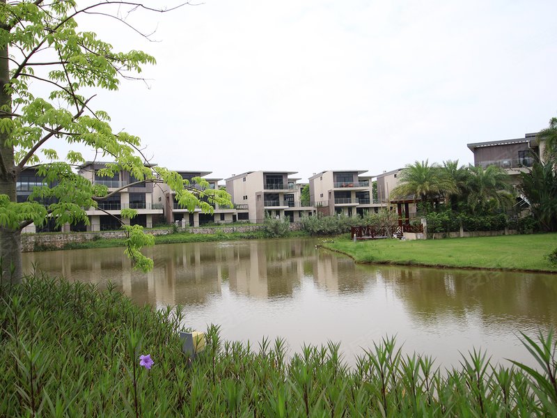 绿地· 樾湖国际生态城 绿地樾湖是绿地香港情怀落地的又一华南小镇力