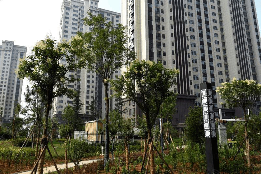 星湖世家:早日实现业主的安家梦