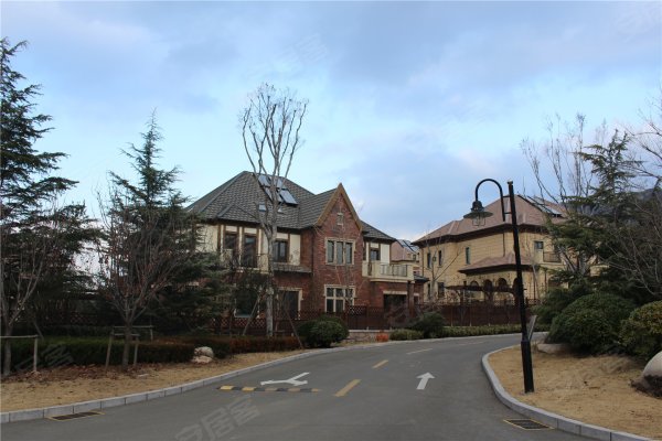 青岛楼盘 城阳区楼盘 惜福镇楼盘 100福国际山庄碧桂湾