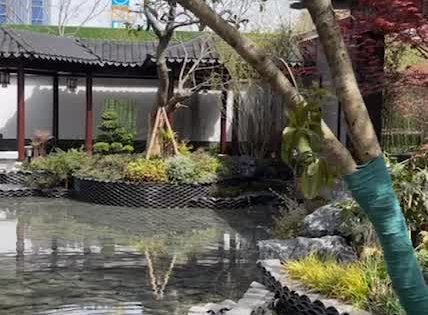 中建|吴江城投 · 笠泽之星动态:中建笠泽之星中式园林一步一景-苏州安居客