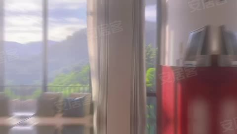 视频描述