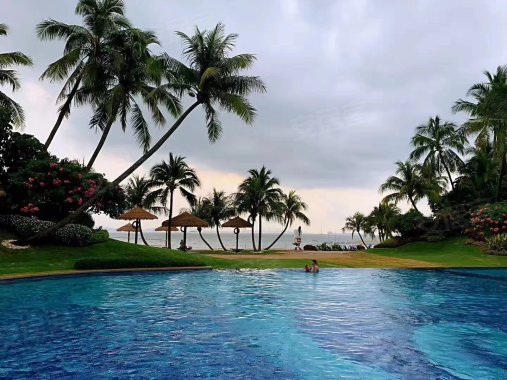 1180x380n.jpg