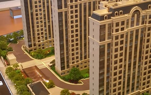 上实·海上菁英