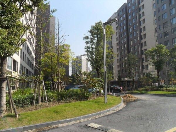 上海松江九亭 美丽星城 1室1卫 精装修 合租单间 1400元/月