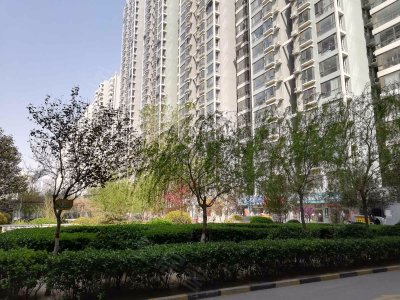 万浩枫景户型图,万浩枫景小区实景图,实拍内外景图片-邯郸58同城爱房