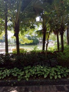 珠光御景湾户型图,珠光御景湾小区实景图,实拍内外景图片-惠州58同城