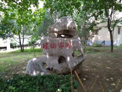 圖片