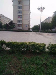 枫林绿洲户型图,枫林绿洲小区实景图,实拍内外景图片-青岛58同城爱房