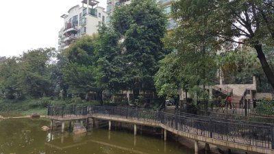 南海湖景湾花园户型图,南海湖景湾花园小区实景图,实拍内外景图片