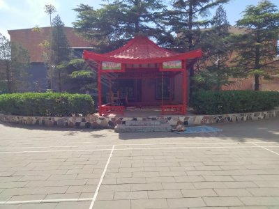 圖片