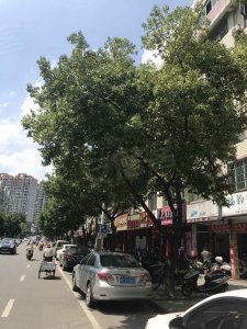 锦龙大厦户型图,锦龙大厦小区实景图,实拍内外景图片-厦门58同城爱房