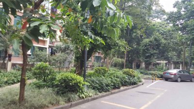 南海湖景湾花园户型图,南海湖景湾花园小区实景图,实拍内外景图片