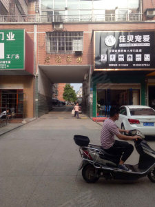 图片