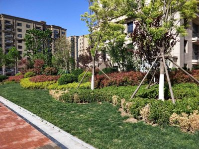 凡尔赛花园(公寓住宅)户型图,凡尔赛花园(公寓住宅)小区实景图,实拍内