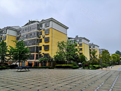 国泰花园户型图,国泰花园小区实景图,实拍内外景图片-枣庄58同城爱房