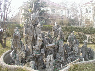 圖片